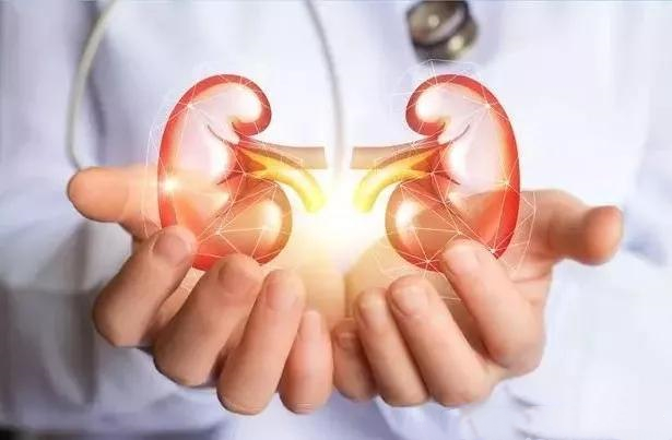 What are the symptoms of kidney failure?